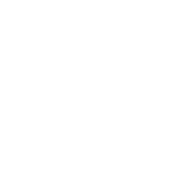 Zuverlässiges Hosting für Webseiten