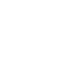Kreative Markenentwicklung und Logodesign