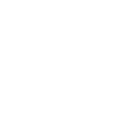 Professionelle Website-Erstellung
